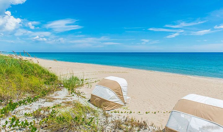 Pristine Beaches at Residence R1C1 at The Stratford, Luxury Oceanfront Condominiums in Palm Beach, Florida 33480.