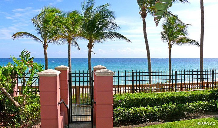 View to Garden at Luxury Residence II, The Palms Condominium located in Fort Lauderdale 33305, Luxury Oceanside Condos