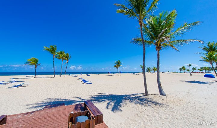 Beach at Luxury Oceanfront Residence 248, The Oceanage Condominiums, 1650 South Ocean Lane, Fort Lauderdale, Florida 33316