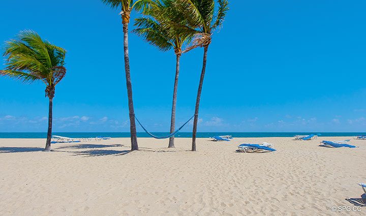 Beach at Luxury Oceanfront Residence 248, The Oceanage Condominiums, 1650 South Ocean Lane, Fort Lauderdale, Florida 33316